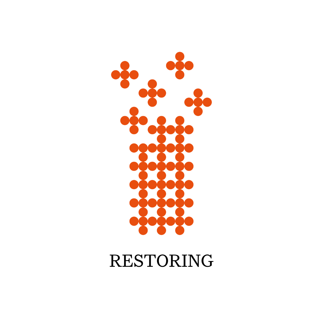 Restoring Moisturiser - Normal to Combined Skin